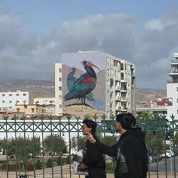 Hier fahren wir schon durch Agadir