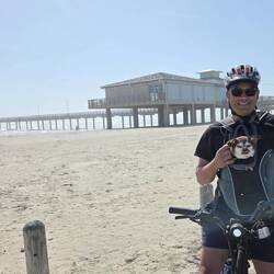 Zoom in, Bristol always has her tongue out