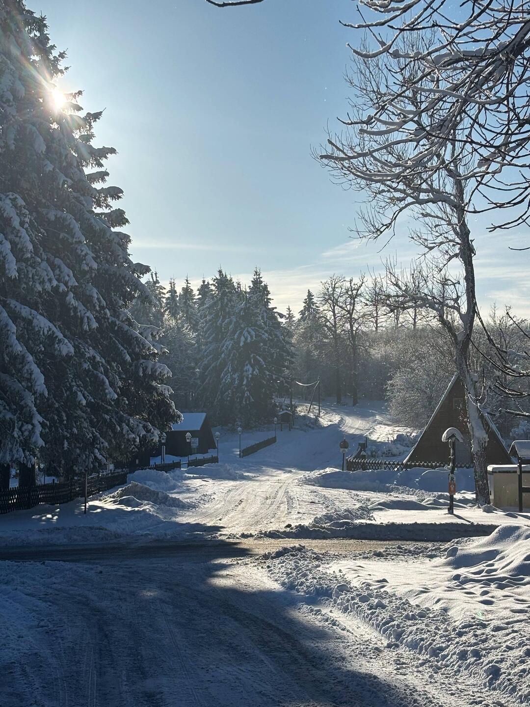 Der Staat in die Loipe