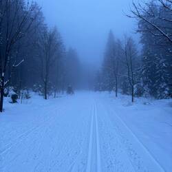 Gegen Abend wird es gespenstisch. Zum Glück nicht mehr weit bis Oberhof.