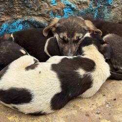 Sind die 3 süß 🥰