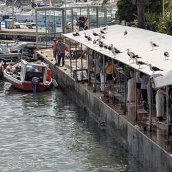 This is an area where vendors clean and sell seafood