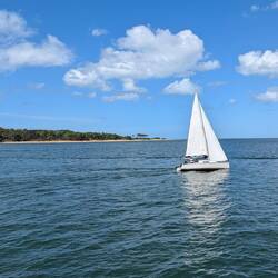 Lots of sailboats here, great place to have one