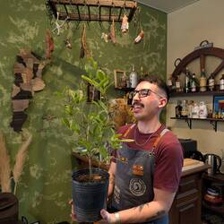 Learning about the traditional drink mate