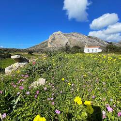 ..für zwei Nächte schlafen wir 🚐😴 neben dieser 💒