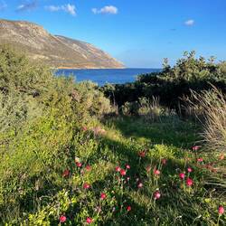 .. und dazu noch diese satt grünen Blumenwiesen😍