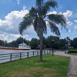 Huge ship passing through the Tigre Delta