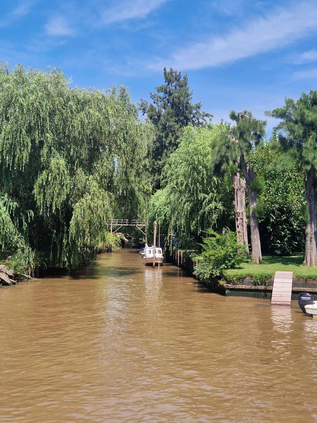 The channels of the Tigre Delta