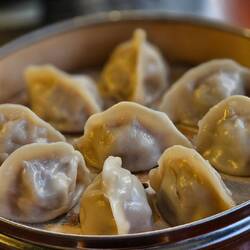 Dumplings als Vorspeise.