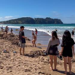 Am Hot Water Beach wird um die Wette gegraben ... nicht immer stösst man auf warmes Wasser