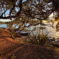 Abendstimmung in der Nähe unseres Stellplatzes am Meer