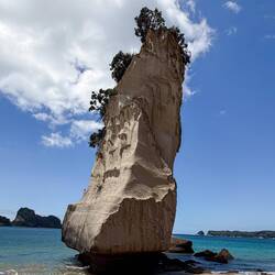 Ein Fels in der Brandung 🙃