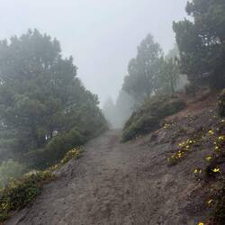 Der Abstieg im Nebel