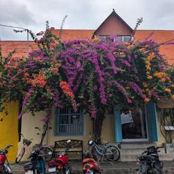 Colorful Life ❤️