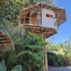 Cooles Baumhaus als Unterkunft