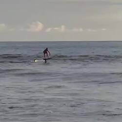 Und das ist ein Hydrofoil-Surfer