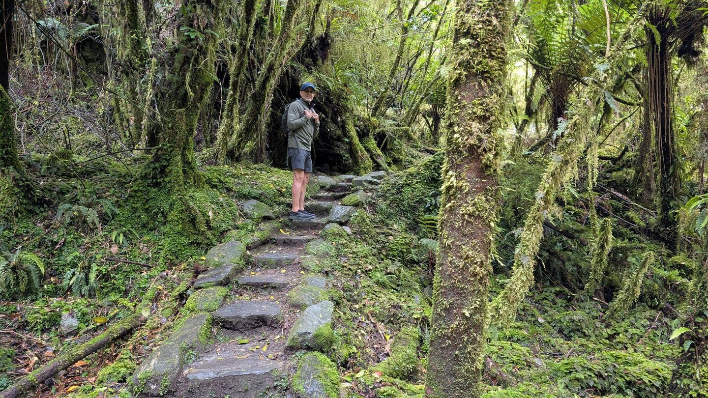 Hike to see Fox Glacier