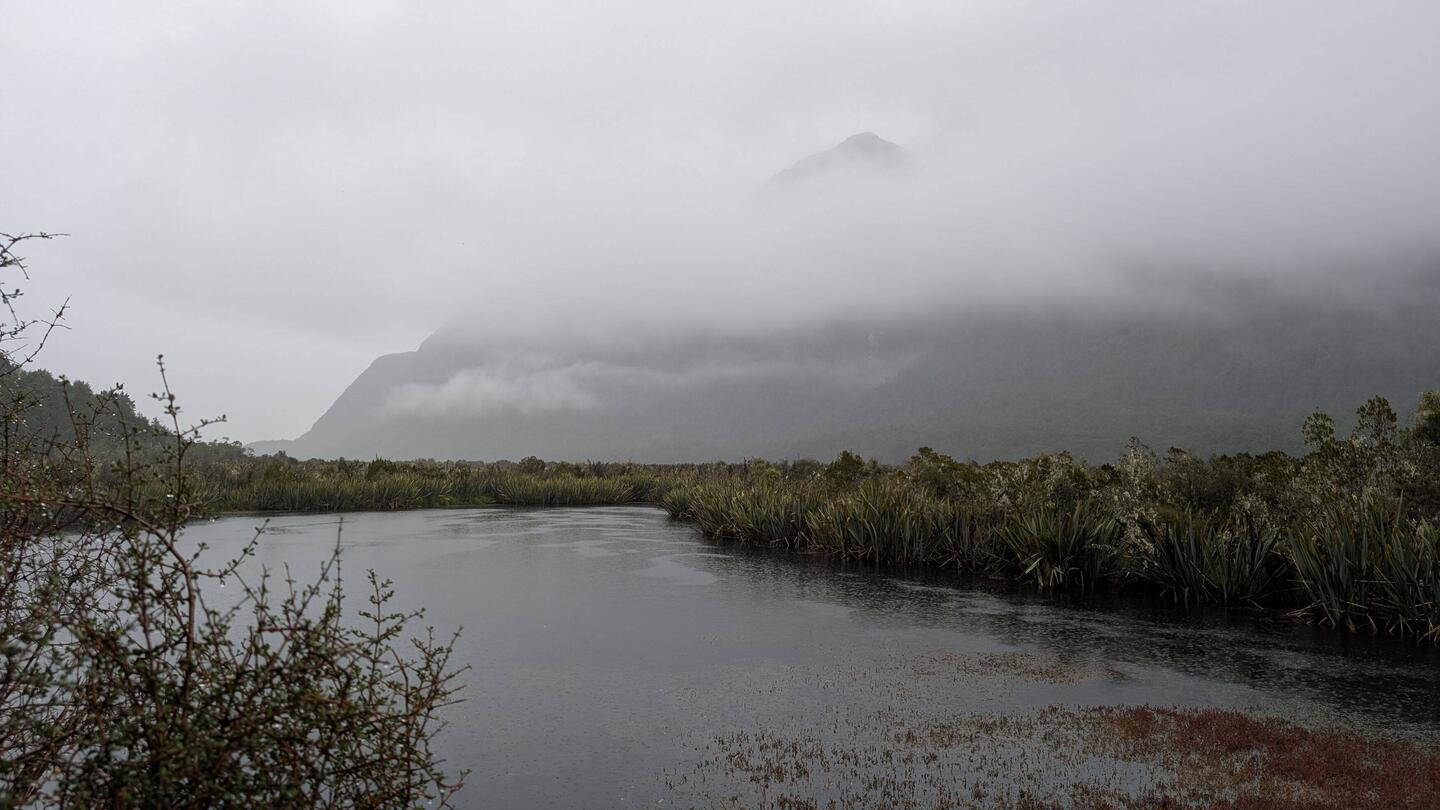 Enroute to Milford Sound