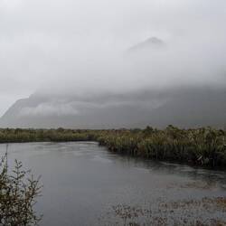 Enroute to Milford Sound