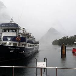Milford Sound is a busy place