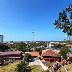 Blick vom St. John's Hill