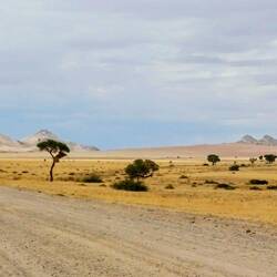 oh, da stehen echte Bäume, im Untergrund fliesst Wasser