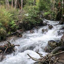 Ab hier war es zum Glück nicht mehr weit