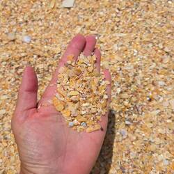 Fine tiny seashells.