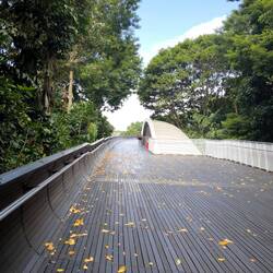 Henderson Waves