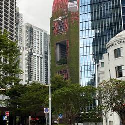 Interessante Stadtbegrünung