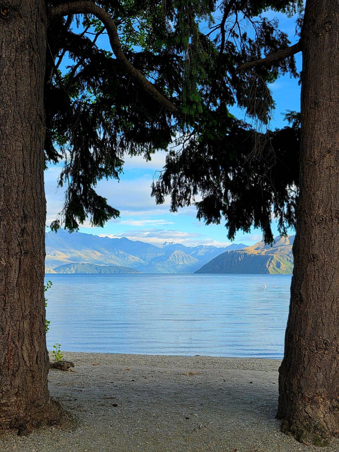 Lake Wanaka, early morning