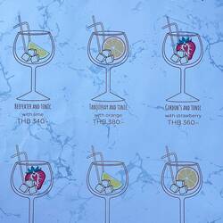 Gin Auswahl 🍸Happy Hour