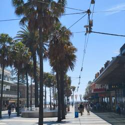 Manly Downtown