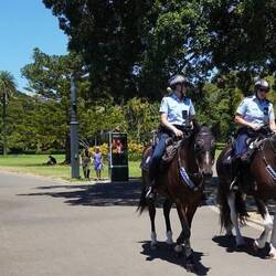 Im Botanischen Garten