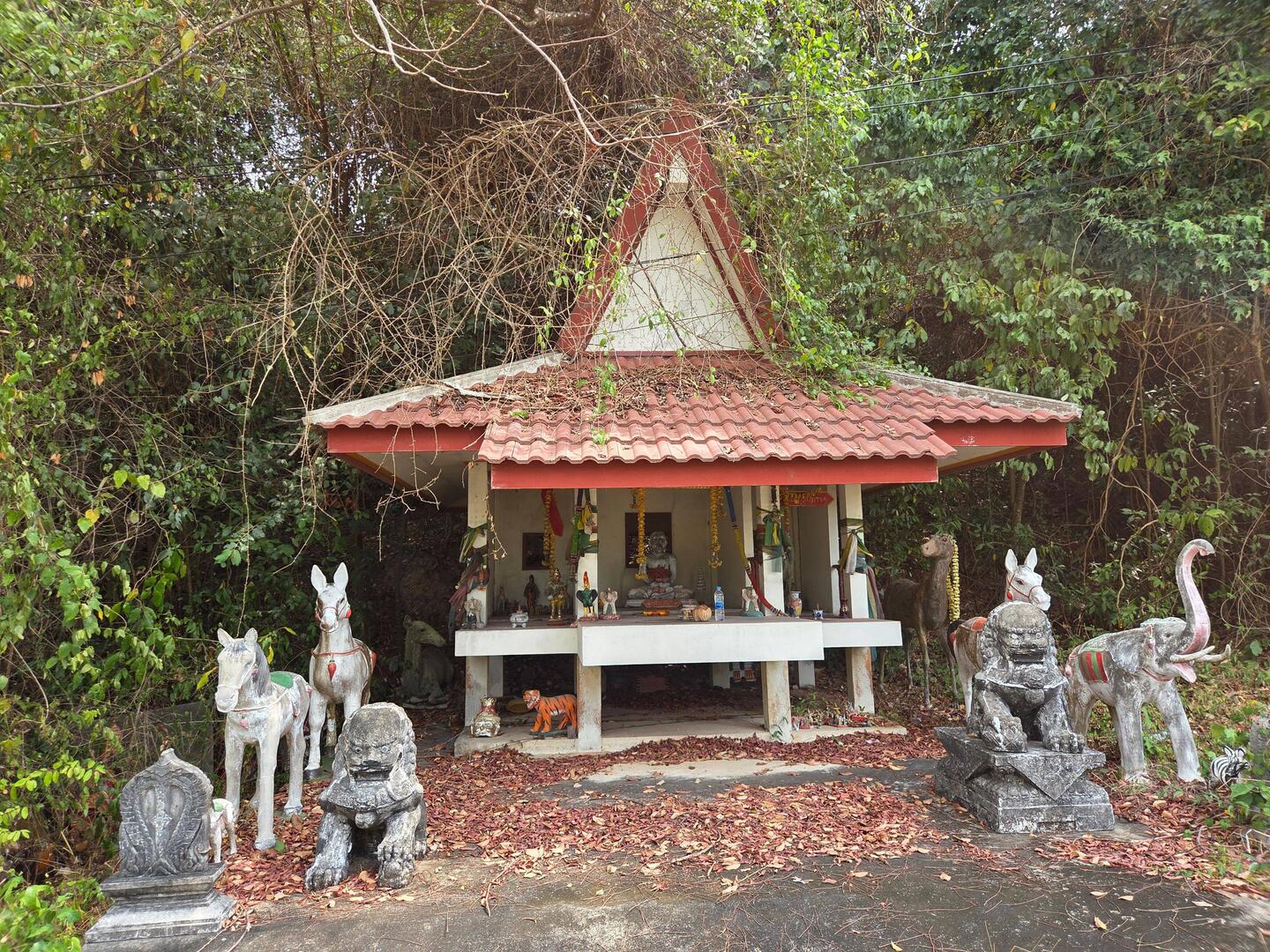 Vers Thong Chai hill