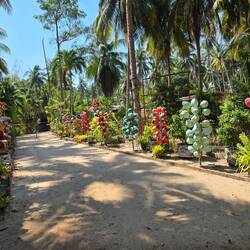 Noix de coco décorées dans l'allée d'une maison
