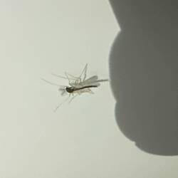 Unsere aktuellen Mitbewohner