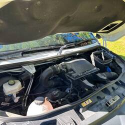 ...doch ohne Ölmesstab (wird in diesem Mercedes Sprinter nur elektronisch überwacht) nicht möglich!