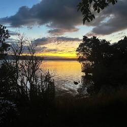 Unser Schlafplatz (mit einer Million fliegenden Insekten... 😳)