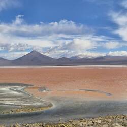 Hier bekommen die Flamingos ihre Farbe
