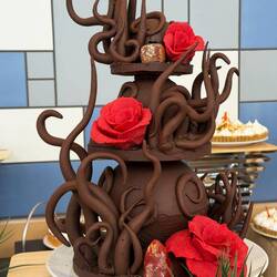 How did they do this?