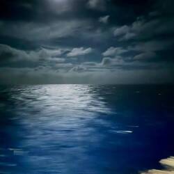 I could look at this all night