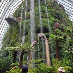Cloud Forest in den Gardens by the Bay