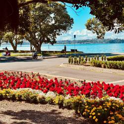 The city park by the ferry dock on Devonport