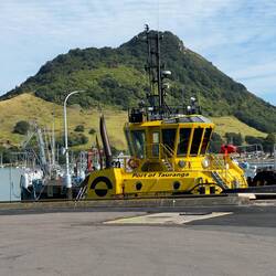 They have very big tugs here