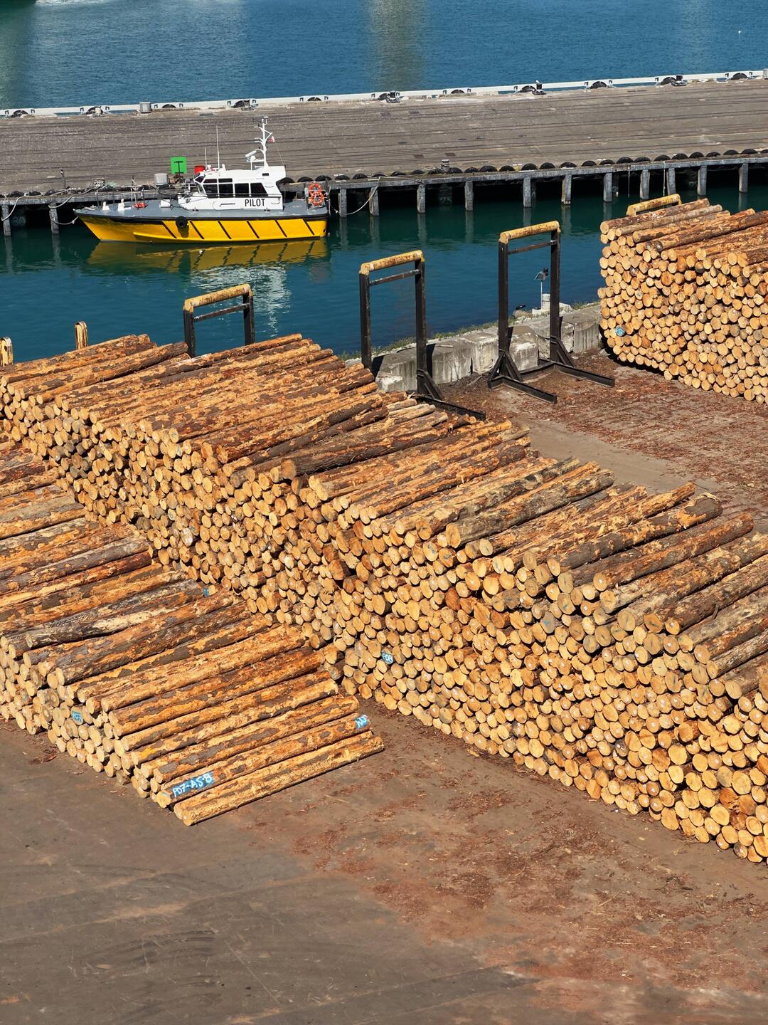 Radiata Pine exports heading to Japan