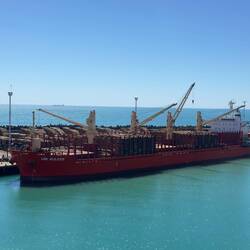 Radiata Pine exports heading to Japan