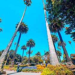Downtown Napier waterfront