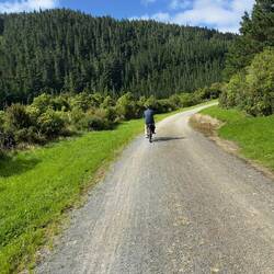 There he goes. It's always a race