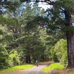 Smelled like Christmas again